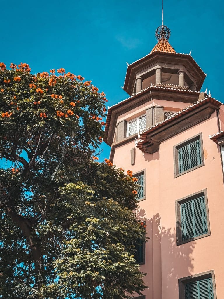 Budynek z wieżą i kwitnące drzewo w centrum Funchal