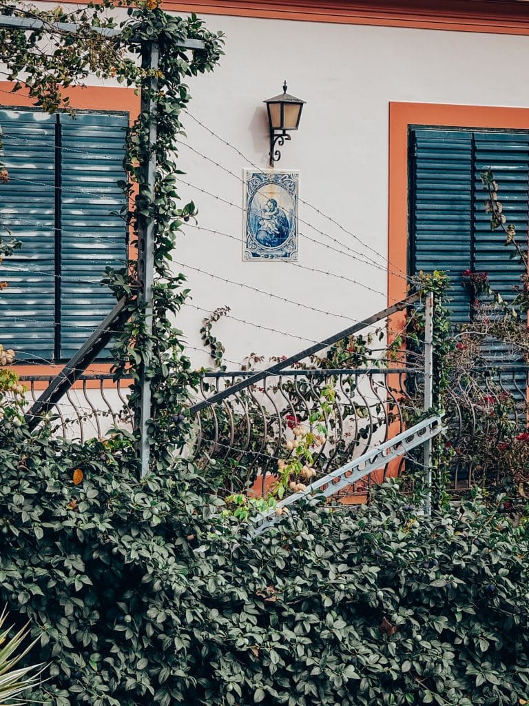 Biały dom z azulejos i balustradą obrośniętą bluszczem w Funchal