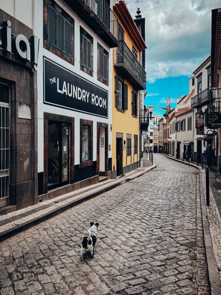 Brukowana uliczka w centrum Funchal