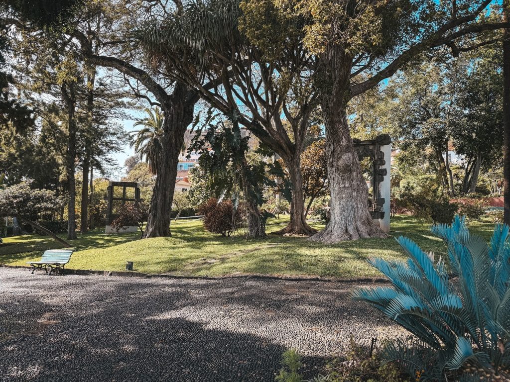 Ogród w Muzeum Quinta das Cruzes