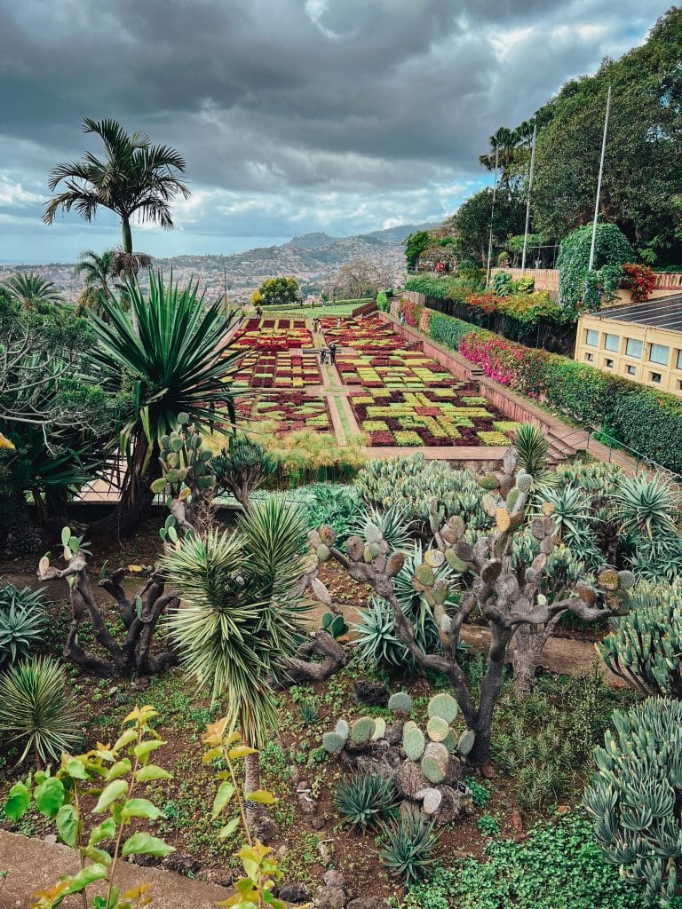 Jardim Botanico - ogród botaniczny w Funchal fot. Ewelina Podrez-Siama 2023