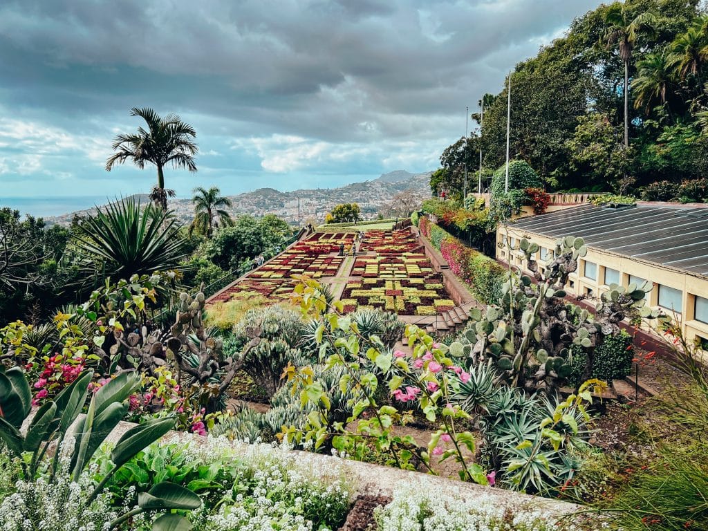 Jardim Botanico - ogród botaniczny w Funchal fot. Ewelina Podrez-Siama 2023