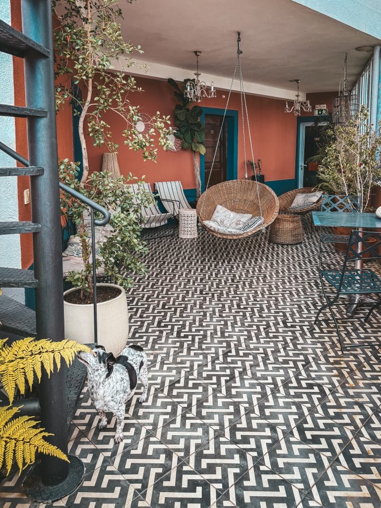Apartamenty z psem Funchal - ASPA Studios fot. Ewelina Podrez-Siama 2025