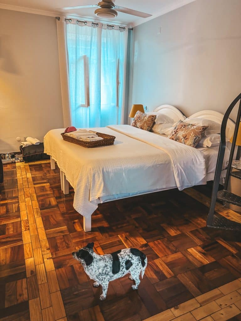 Apartamenty z psem Funchal - ASPA Studios fot. Ewelina Podrez-Siama 2025