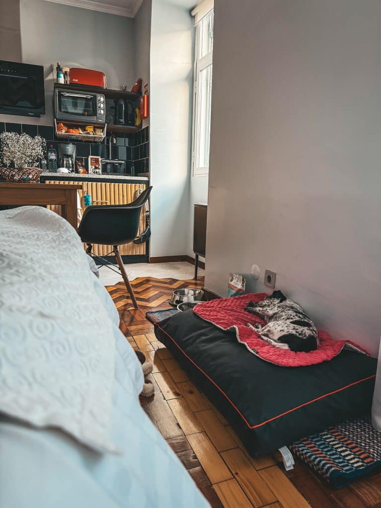 Apartamenty z psem Funchal - ASPA Studios fot. Ewelina Podrez-Siama 2025