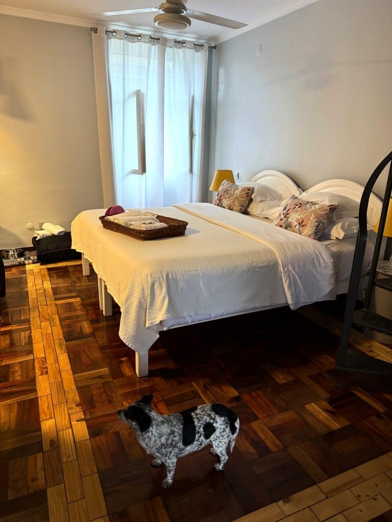 Sypialnia w apartamencie ASPA Studios w Funchal: łóżko z poduszkami, drewniana podłoga, na środku pies