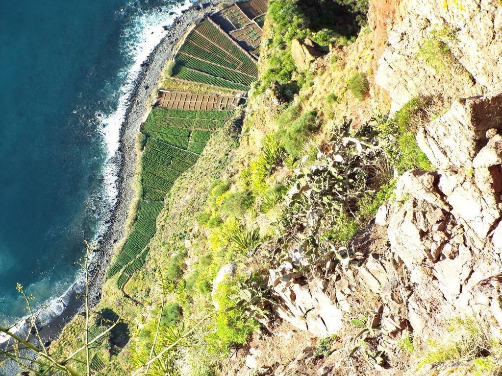 Tarasowe pola na fajãs u stóp klifu Cabo Girão widziane z góry