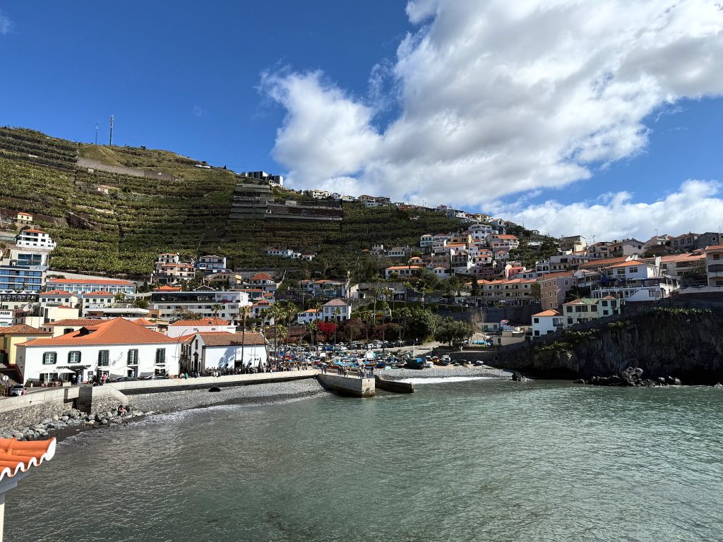 Zatoka w Câmara de Lobos i tarasy na zboczu