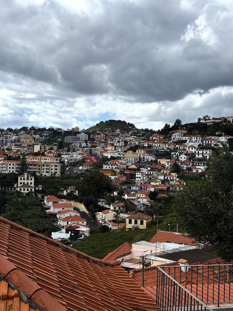 Czerwone dachówki na pierwszym planie i domy na zboczu wzgórza nad Funchal pod zachmurzonym niebem
