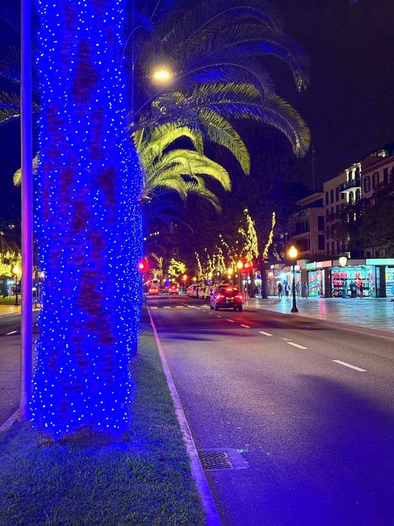 Palmy owinięte niebieskimi lampkami przy alei w Funchal nocą