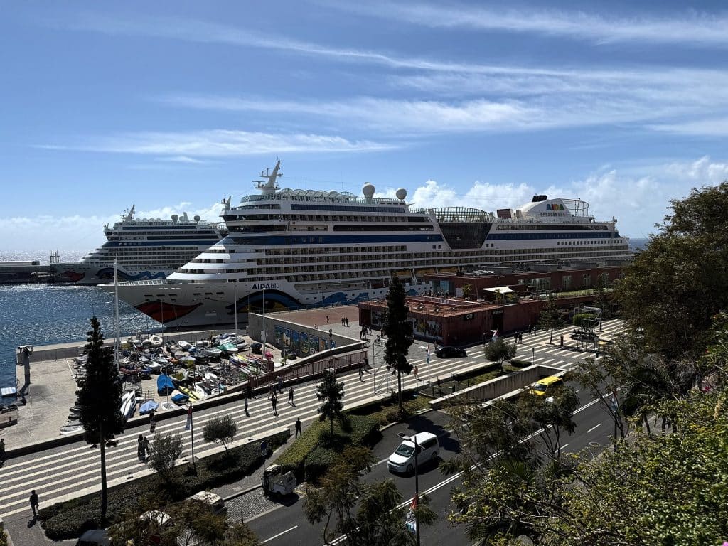 Port w Funchal z wycieczkowcami widziany z parku nad nabrzeżem
