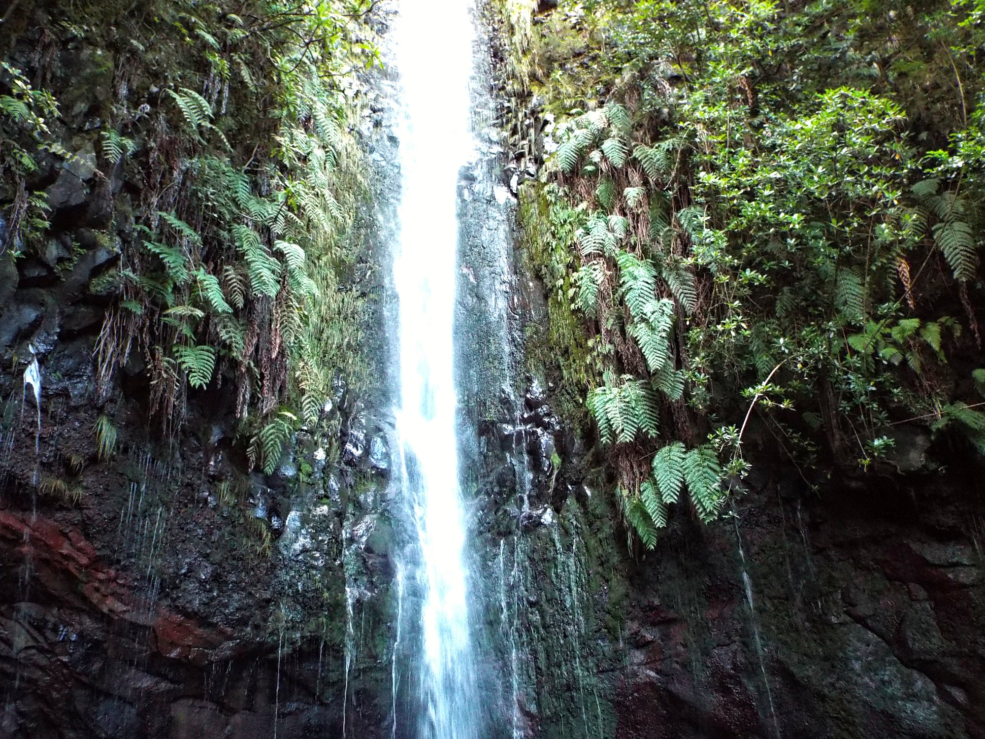 Wysoki wodospad w 25 Fontes na szlaku PR6 Levada das 25 Fontes