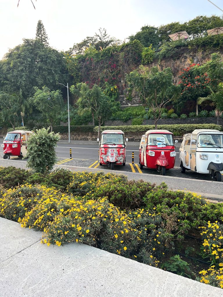 Czerwone i biały tuk-tuk zaparkowane przy ulicy w Funchal, na pierwszym planie krzewy z żółtymi kwiatami