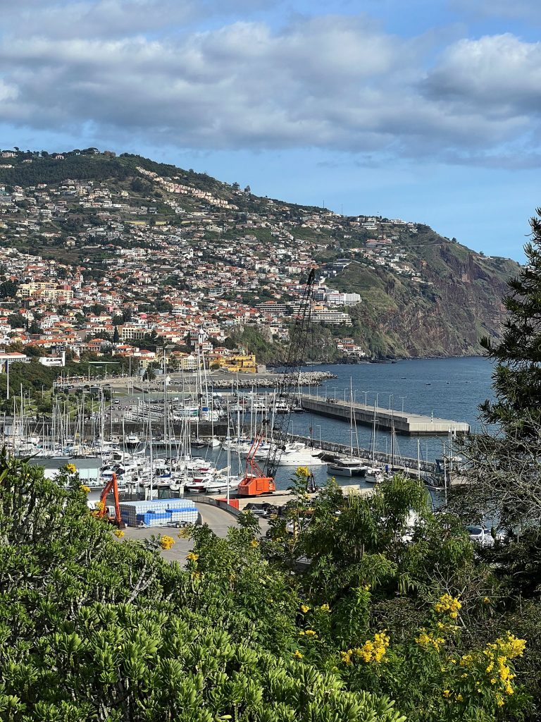 Widok z parku Santa Catarina na marinę z jachtami i zabudowę Funchal na zboczach, w dole krzewy z żółtymi kwiatami
