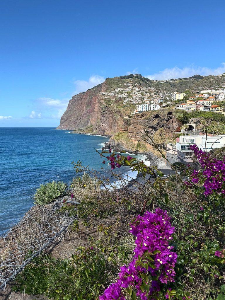 Fioletowa bugenwilla na skraju zbocza, w tle klif Cabo Girão, zabudowa i ocean
