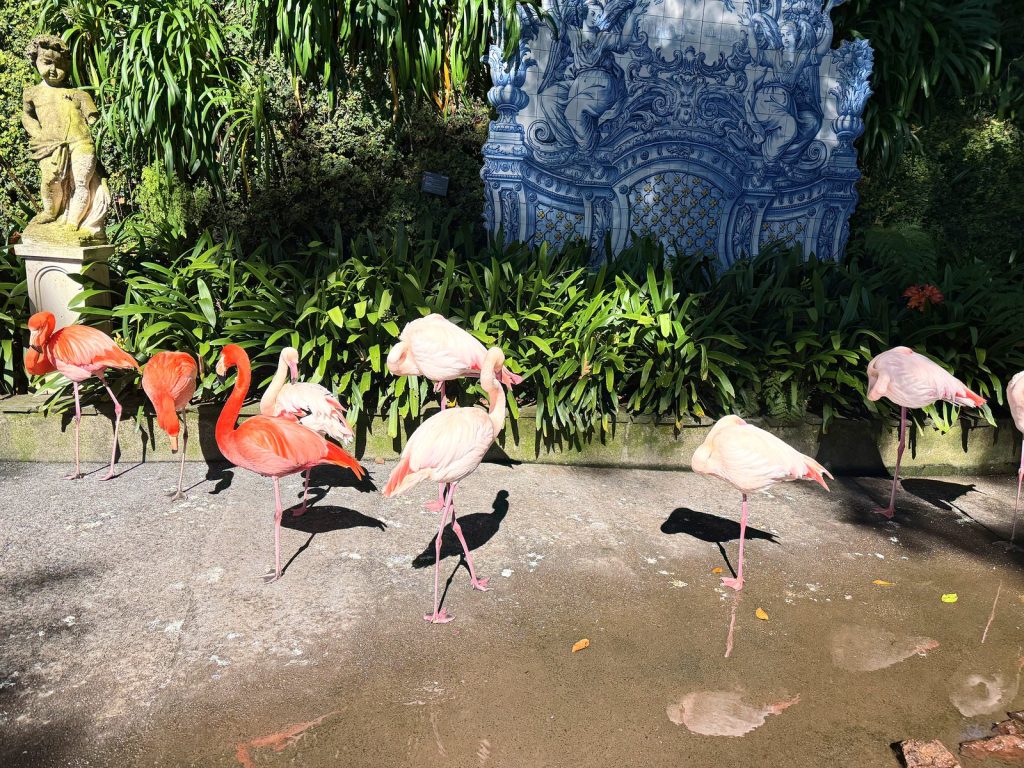 Grupa różowych flamingów na kamiennym placyku przed niebiesko-białym panelem z płytek azulejos otoczonym zielenią