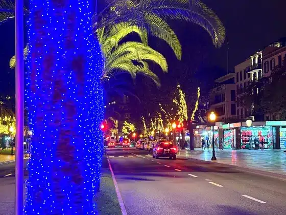 Palmy owinięte niebieskimi lampkami przy alei w Funchal nocą