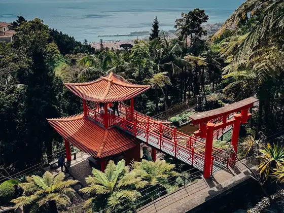 Czerwona pagoda i mostek w ogrodzie Monte Palace, w tle ocean