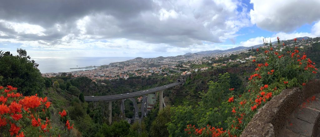 Szeroka panorama Funchal i oceanu z tarasu ogrodu, w dole dolina z wiaduktem, na pierwszym planie krzewy z czerwonymi kwiatami