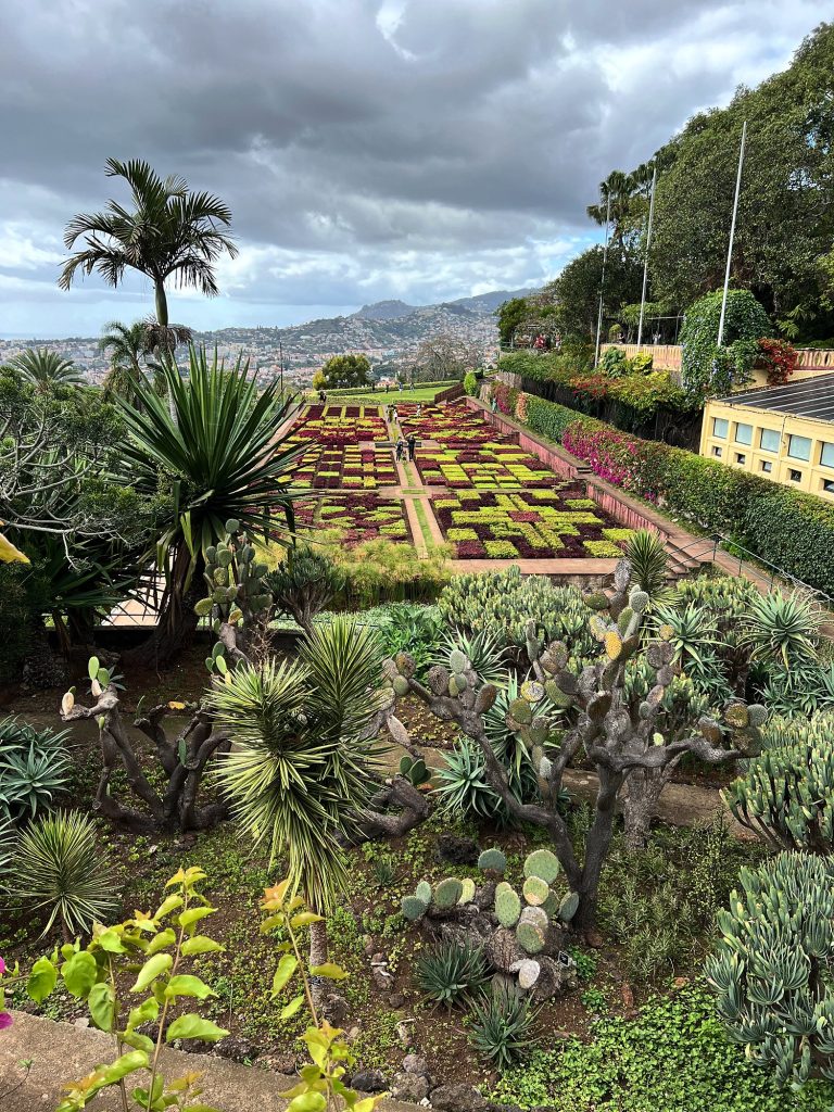 Sukulenty, agawy i dywanowe rabaty w Ogrodzie Botanicznym w Funchal