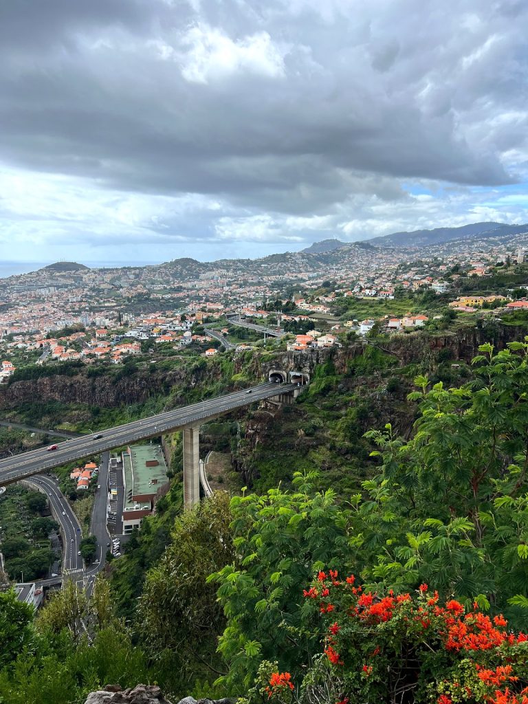 Zbocza Funchal z domami, wiadukt nad zieloną doliną i pomarańczowe kwiaty na pierwszym planie, pod zachmurzonym niebem