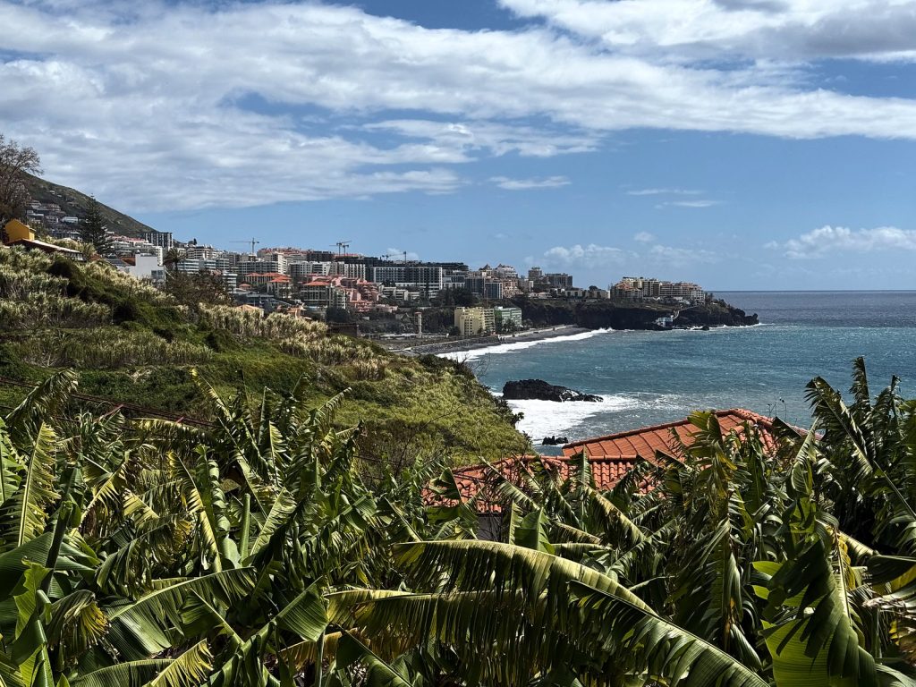 Tarasy z bananowcami na zboczu nad oceanem, w oddali skaliste wybrzeże i hotele zachodniego Funchal