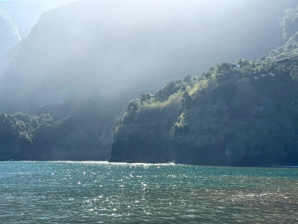 Mgła i ostre słońce nad zalesionymi klifami, w dole połyskujący ocean