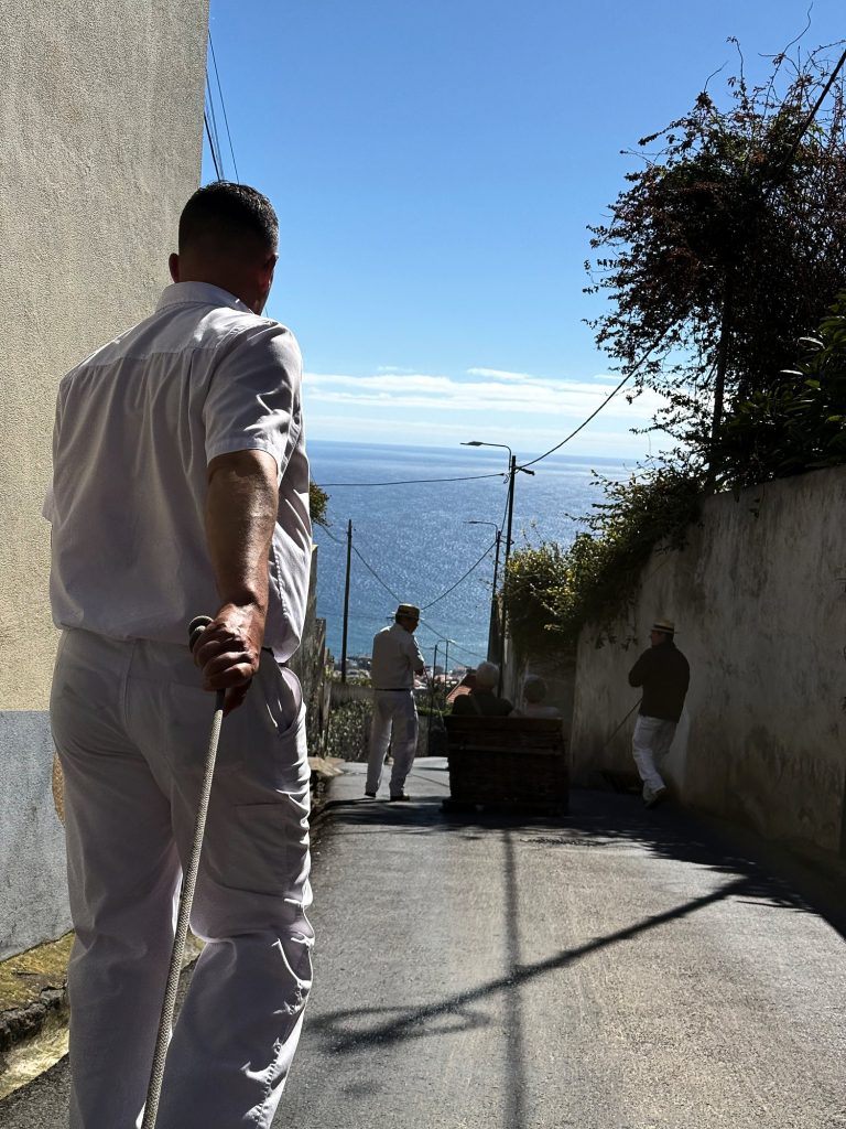 Carreiro w białym stroju prowadzi wiklinowe sanie stromą ulicą z Monte w dół, w tle ocean