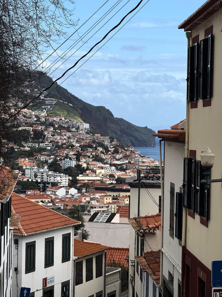 Stroma ulica schodząca w dół między kamienicami z zielonymi okiennicami, w dole dachy Funchal, zielony klif i ocean