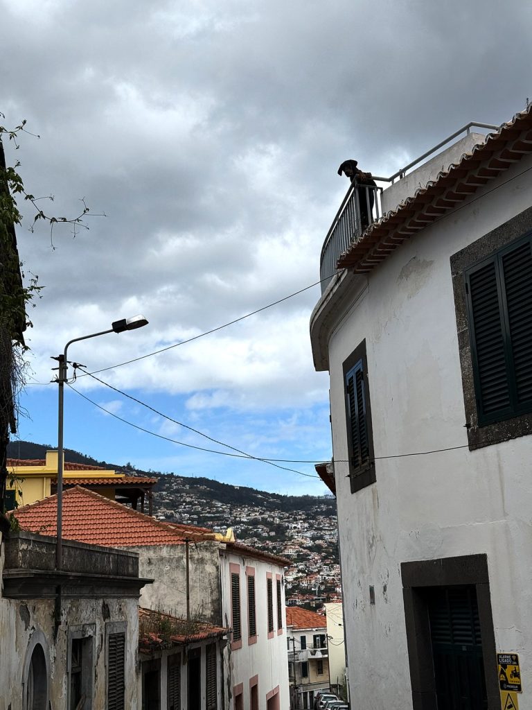Biały dom z zielonymi okiennicami i latarnia przy stromej uliczce, w tle zabudowane zbocza Funchal