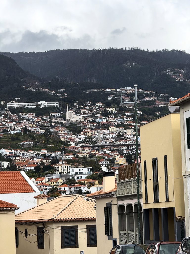 Widok na zbocza Funchal pod zalesionymi górami, białe domy i biały kościół na stoku, na pierwszym planie żółte kamienice i dach z jasnymi dachówkami