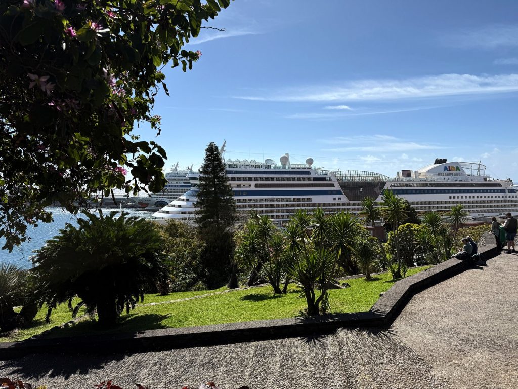 Wycieczkowce AIDA w porcie Funchal widziane zza palm i trawnika parku