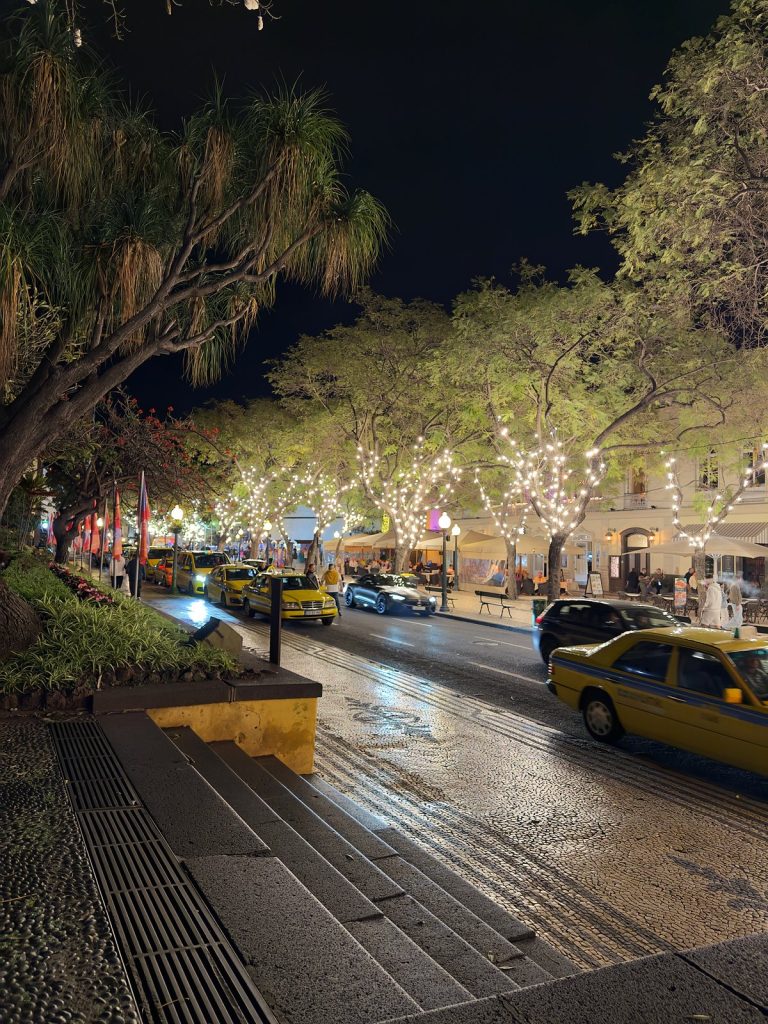 Avenida Arriaga nocą: drzewa w białych lampkach i żółte taksówki na jezdni